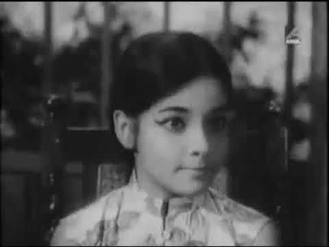 DEADLY EX NEXT DOOR LETZTER FILM