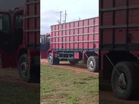 Embarcando mais um boiada da Fazendas Boa Esperança, Cumaru do Norte PA.