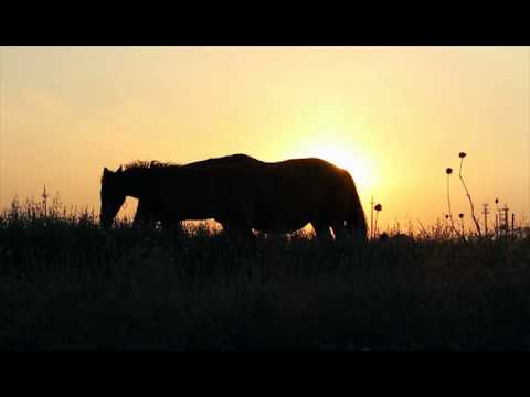 Brickl Brothers - Your Horse and You final new vocals