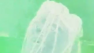 ECCO2K + Bladee - Dead inside Dark outside (Prod. F1LTHY & Whitearmor)