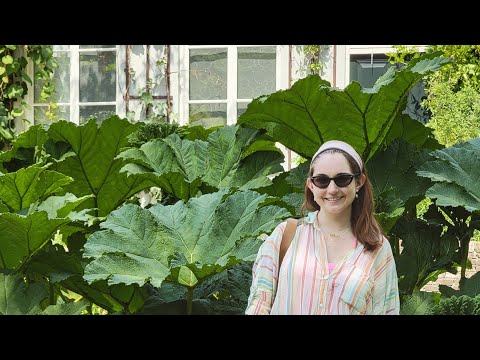Hortus Botanicus Amsterdam, Netherlands Botanical Garden Tour