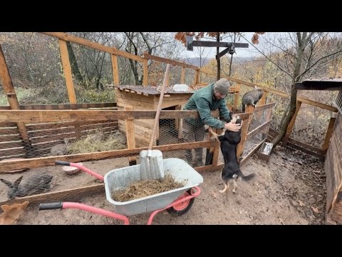 The forbidden secrets of the mountains, seen by a solitary farmer.