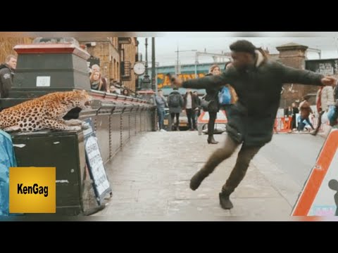 Hilarious Fake Leopard Prank | Ken Gag