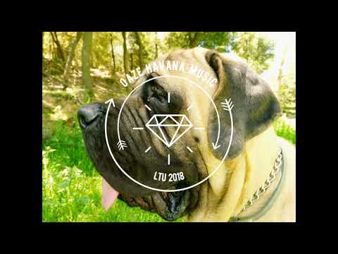 V. E. I. ft. ELIA - Fallin