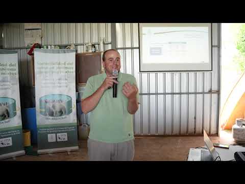 ¿Qué es un sistema "doble propósito" en ovinos? - Ing. Agr. José Ignacio Aguerre