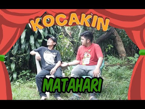 kocakin-matahari