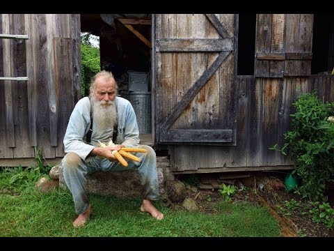 afbeelding Seed: The Untold Story