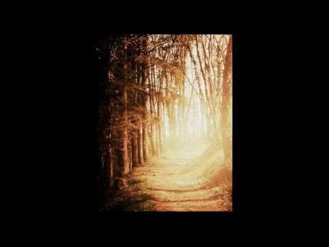 Little Wing - Jane Baêta 