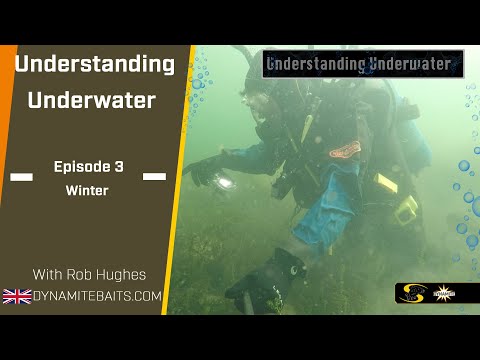 Carp Fishing: Understanding Underwater 3 - Indication