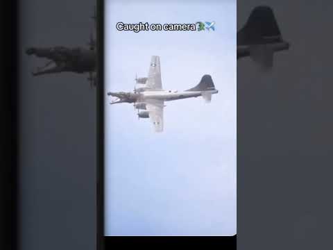 a flying crocodile caught on camera! 🧐😮