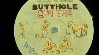 Butthole Surfers - I Saw An X-Ray of a Girl Passing Gas HQ Vinyl Rip