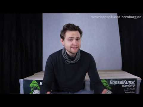 Demo: Bartosz Warwas styling a Juniperus Chinensis 'Kishu' at BonsaiKunst Hamburg