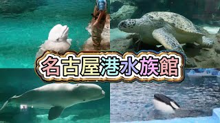 【名古屋港水族館】シャチのいる水族館に行ってきたよ！