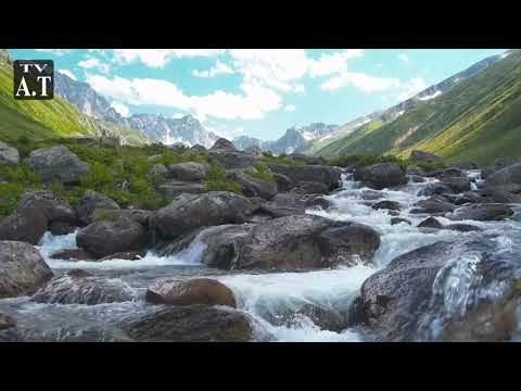 Gentle Waves Small White Rock Beach - Relaxing Ocean Sounds 1 hr