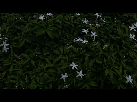 T2TEEN - ถึงเวลาที่ต้องห่าง ( Prod. jxsie beats)