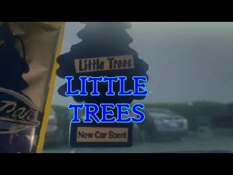Little Tree CAR SCENT SMELL for your vehicle