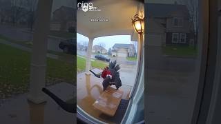 Download lagu He Was Dared To Do This 😭 #ytshorts #fyp #funny #share mp3