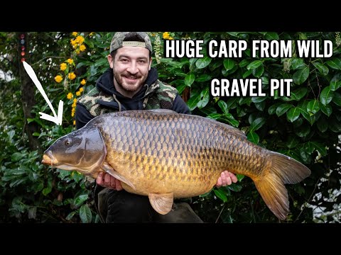 Wild Gravel Pit Fishing for BIG CARP - Fishing in France!