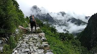 preview picture of video 'Trip to valley of flowers, most beautiful trek of India.!! '