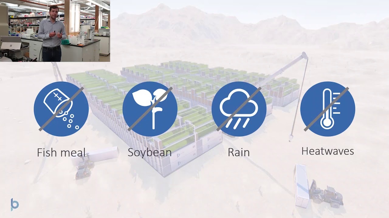 Blue Planet Ecosystems - ESA