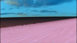 L O O K I N G FOR H E A V E N