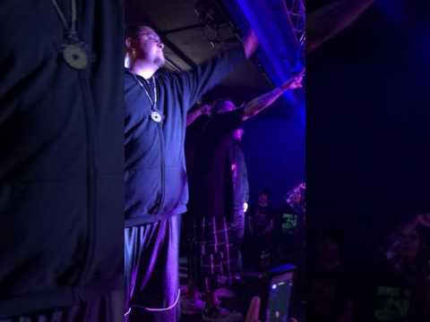 Damien Quinn LSP (4/5 Cd Release Show 2017)