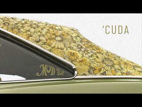 'CUDA Mod Top