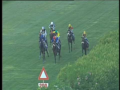 Galoppo 16/08/2017 - 5ª corsa