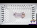 NEW Enfamil A NeuroPro Gentlease Help Calm Their Tummy In Just 24 Hours