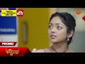 Mynaa - Promo | 29 May 2024 | Udaya TV Serial | Kannada Serial