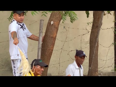 La pluma 🪶  | 😂😂😂Broma