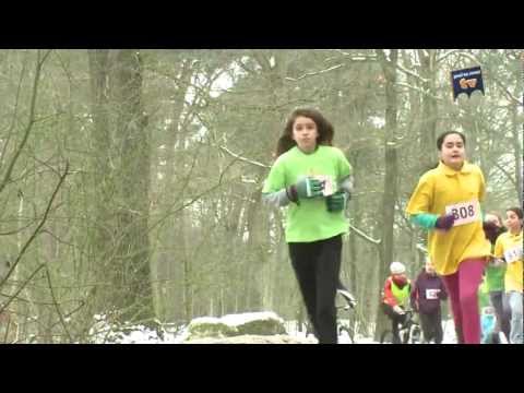 Peel en Maas weekoverzicht 03 februari 2013 - Peel en Maas TV Venray