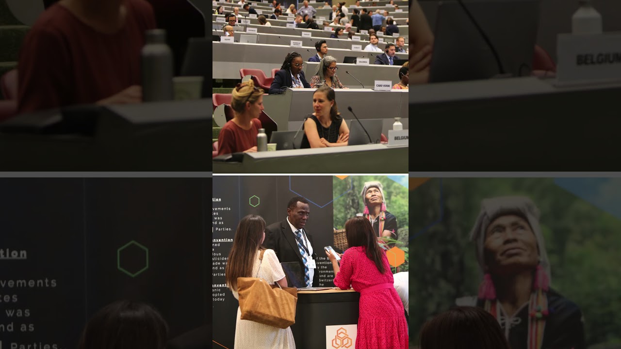 OEWG-15 (Day 2)