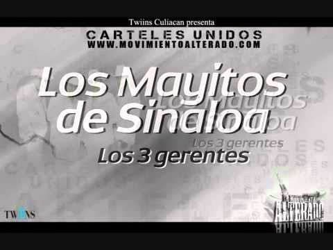 Los Mayitos de Sinaloa   Los 3 Gerentes Carteles Unidos Vol 5