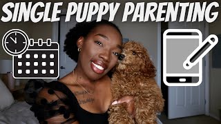 My Puppy Schedule *For People Who Work Full Time* | Marshall Mondays