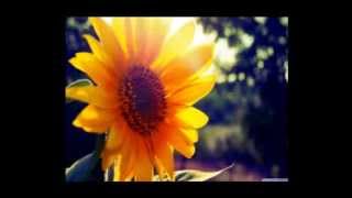 Salvar Tu Amor - Carlos Vives