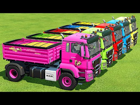 LOAD CORN & TRANSPORT WITH MERCEDES & MAN MINI TRUCKS - Farming Simulator 22