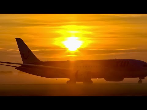 Foggy Heavy Jets 747 787 777 A350 A330 Spotting AMS Schiphol