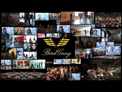 Education Showreel | BirdGang Ltd
