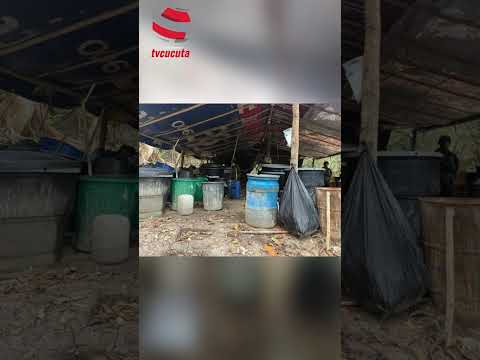 Incautan más de media tonelada de coc@ína y desmantelan laboratorio del ELN en El Zulia
