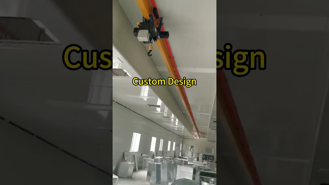 1 Ton  Electric Monorail Hoist on Ceiling Mounted Monorail Crane Commissioning
