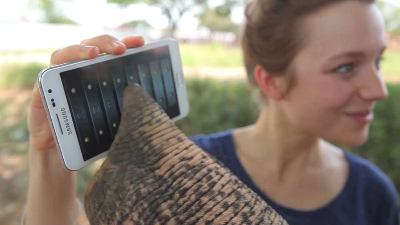 Elephant Plays with a Galaxy Note! - YouTube