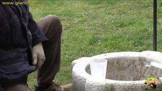 trattamento con olio bianco