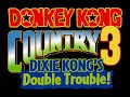 SNES 26 Donkey Kong Country 3 Dixie Kong S Double Trouble Invincible Stars