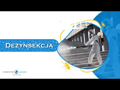 Zobacz filmy, PHU Insektor Jakub Usługi DDD Jakub Szwed, Konin