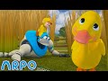 Picnic Time With Ducks! | ARPO the Robot | Funny Cartoons for Kids @ARPOTheRobot