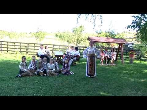 CAMELIA CONOVICI VULPOIU  - Când erai flăcău in sat