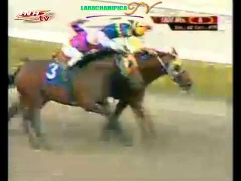 LA RINCONADA 8 CARRERA DOMINGO 23 DE NOVIEMBRE DEL 2014