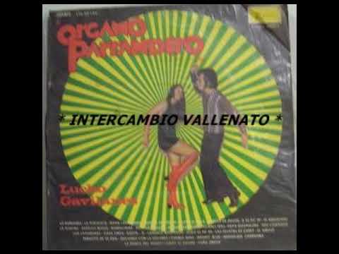 LUCHO GAVILANES   ORGANO PARRENDERO LA PIRAGUA