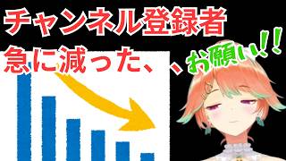 急にチャンネル登録者数が下がりだしたキアラさん【ホロライブ切り抜き/英語解説/小鳥遊キアラ】